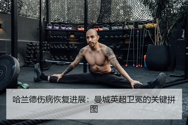 ha-lan-de-shang-bing-hui-fu-jin-zhan-man-cheng-ying-chao-wei-mian-de-guan-jian-pin-tu-2-178.jpg